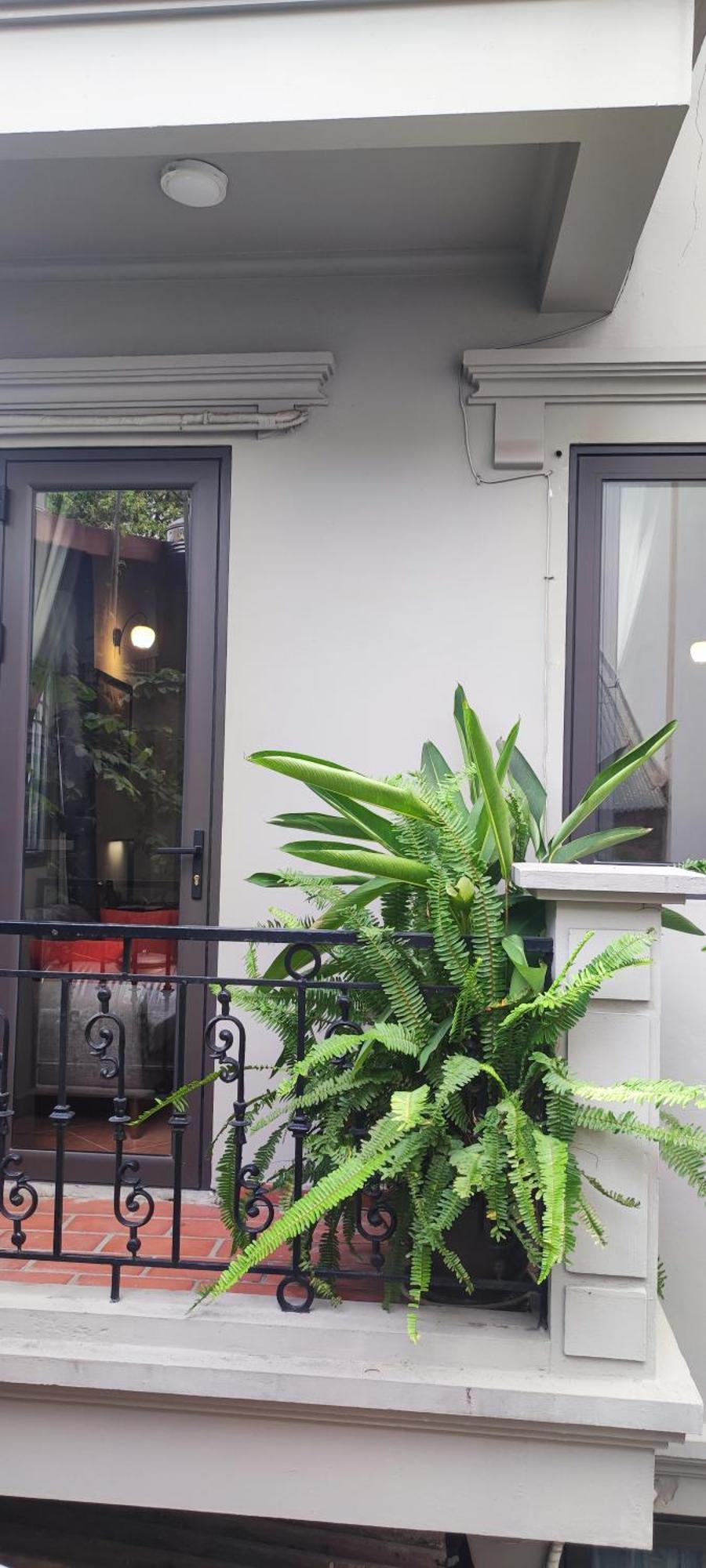 T Home Balcony Homestay Hanoi Buitenkant foto